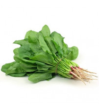 Fodder Leaf Chicory Green Kasini 400 grams (Shine)